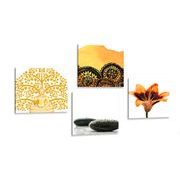 Set of pictures Feng Shui combination