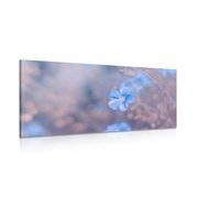 Canvas print blue flowers on a vintage background