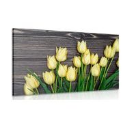 Canvas print charming yellow tulips on a wooden background