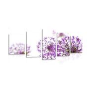 Tablou 5-piese flori înfloritoare violete de usturoi
