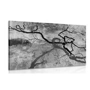 CANVAS PRINT SURREALISTIC TREES IN BLACK AND WHITE - BLACK AND WHITE PICTURES - PICTURES