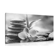 CANVAS PRINT MEDITATIVE ZEN COMPOSITION IN BLACK AND WHITE - BLACK AND WHITE PICTURES - PICTURES