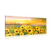 WANDBILD SONNENBLUMENFELD - BILDER BLUMEN - BILDER