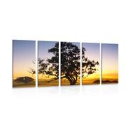 5-dílný obraz osamělý strom při západu slunce