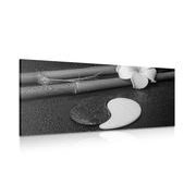 CANVAS PRINT SPA STILL LIFE WITH YIN AND YANG SYMBOL IN BLACK AND WHITE - BLACK AND WHITE PICTURES - PICTURES