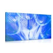 CANVAS PRINT DANDELION IN A BLUE DESIGN - PICTURES FLOWERS - PICTURES