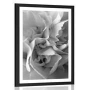 POSTER WITH MOUNT CARNATION PETALS IN BLACK AND WHITE - BLACK AND WHITE - POSTERS