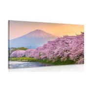 CANVAS PRINT JAPANESE FUJI VOLCANO - PICTURES OF NATURE AND LANDSCAPE - PICTURES