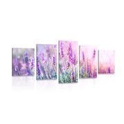 5-piece Canvas print magical lavender flowers