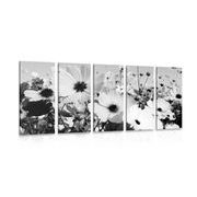 QUADRO IN 5 PARTI FIORI PRIMAVERILI IN BIANCO E NERO - QUADRI BIANCO E NERO - QUADRI