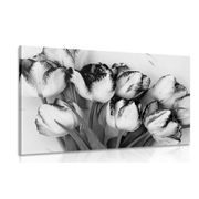 Kép tavaszi tulipánok fekete fehérben