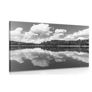 CANVAS PRINT NATURE IN SUMMER IN BLACK AND WHITE - BLACK AND WHITE PICTURES - PICTURES