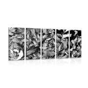 5-piece Canvas print retro strokes of flowers in black and white