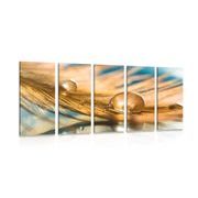 5-piece Canvas print drop of water on a golden feather