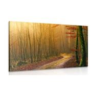 CANVAS PRINT PATH TO THE FOREST - PICTURES OF NATURE AND LANDSCAPE - PICTURES