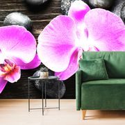Samolepící fototapeta nádherná orchidej a kameny