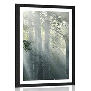 POSTER WITH MOUNT SUN RAYS IN A FOGGY FOREST - NATURE - POSTERS