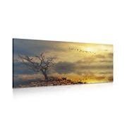 CANVAS PRINT DRIED UP TREE - PICTURES OF NATURE AND LANDSCAPE - PICTURES