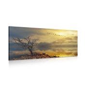 WANDBILD TROCKENER BAUM - BILDER VON NATUR UND LANDSCHAFT - BILDER