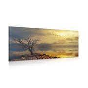 WANDBILD TROCKENER BAUM - BILDER VON NATUR UND LANDSCHAFT - BILDER