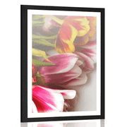 Plakat s paspartuom buket šarenih tulipana