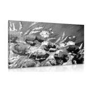 Wandbild Gemalte Feldmohnblumen in Schwarz-Weiß