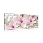 TABLOU FLOARE MAGNOLIE PE FUNDAL ABSTRACT - TABLOU FLORI - TABLOURI