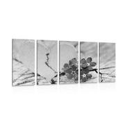 5-piece Canvas print heart on old wood in black and white