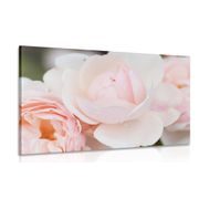 IMPRESSION SUR TOILE PLEIN DE ROSES - IMPRESSIONS SUR TOILE FLEURS - IMPRESSION SUR TOILE