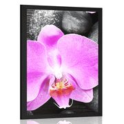 Poster Wunderschöne Orchidee und Steine