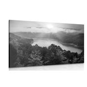 CANVAS PRINT RIVER IN THE MIDDLE OF THE FOREST IN BLACK AND WHITE - BLACK AND WHITE PICTURES - PICTURES