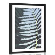Poster with passepartout decorative fern