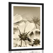 POSTER MIT PASSEPARTOUT GARTENBLUMEN IN SEPIA - SCHWARZ-WEISS - POSTER