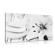 Canvas print lily and massage stones in black and white