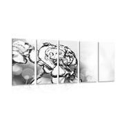 5-piece Canvas print elegant carnation in black and white