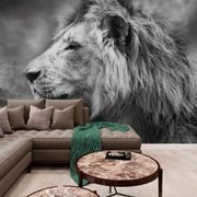 SELF ADHESIVE WALLPAPER AFRICAN LION IN BLACK AND WHITE - SELF-ADHESIVE WALLPAPERS - WALLPAPERS