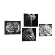 Set of pictures wild animals in black & white design