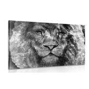 Canvas print lion's face in black and white