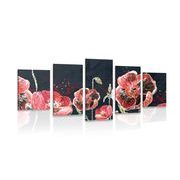 5-PIECE CANVAS PRINT RED POPPIES ON A BLACK BACKGROUND - PICTURES FLOWERS - PICTURES