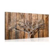 PICTURE TREE OF LIFE - OBRAZY STROMY ŽIVOTA - PICTURES