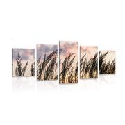 IMPRESSION SUR TOILE EN 5 PARTIES HERBE AU COUCHER DU SOLEIL - IMPRESSION SUR TOILE DE NATURE ET PAYSAGE - IMPRESSION SUR TOILE