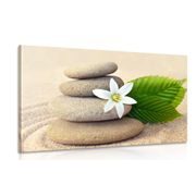 Obraz bílý květ a kameny v písku