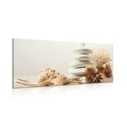 Canvas print Zen stones with seashells