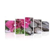 5-PIECE CANVAS PRINT BLOOMING ORCHID AND WELLNESS STONES - PICTURES FENG SHUI - PICTURES