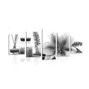 5-piece Canvas print lily and wellness still life in black and white
