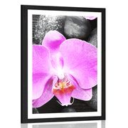 Plakat s paspartujem čudovita orhideja in kamni