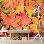 SELF ADHESIVE WALL MURAL AUTUMN LEAVES - SELF-ADHESIVE WALLPAPERS - WALLPAPERS