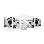 5-dílný obraz květinová kompozice s romantickým nádechem v černobílém provedení