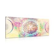 CANVAS PRINT MANDALA IN AN INTERESTING DESIGN - PICTURES FENG SHUI - PICTURES