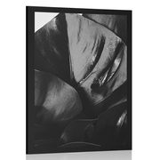 POSTER MONSTERA-BLATT IN SCHWARZ-WEISS - SCHWARZ-WEISS - POSTER